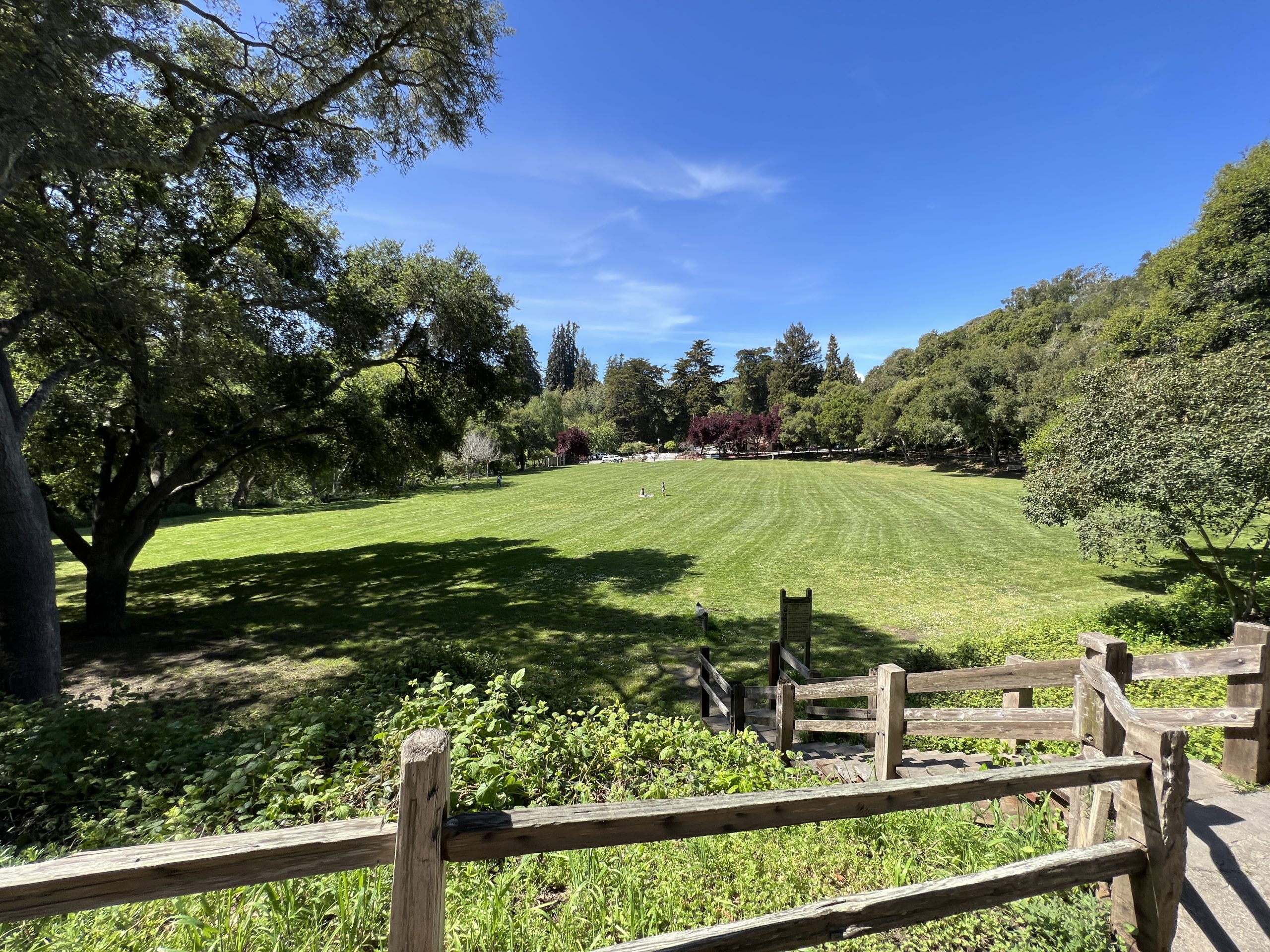 Spotlight on Aptos - Lisa Gerety